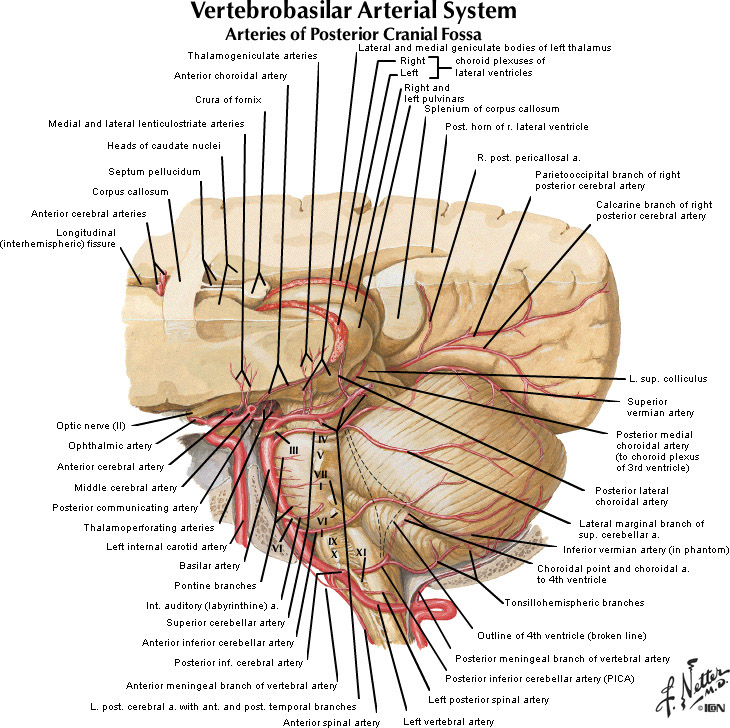 %_tempFileNameFigureI.55_l%