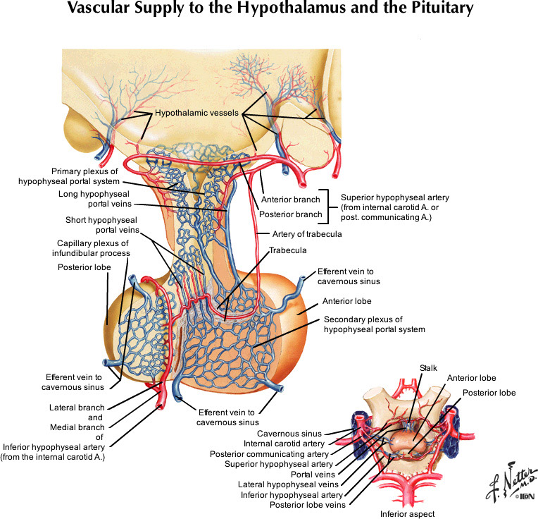 %_tempFileNameFigureI.56_l%