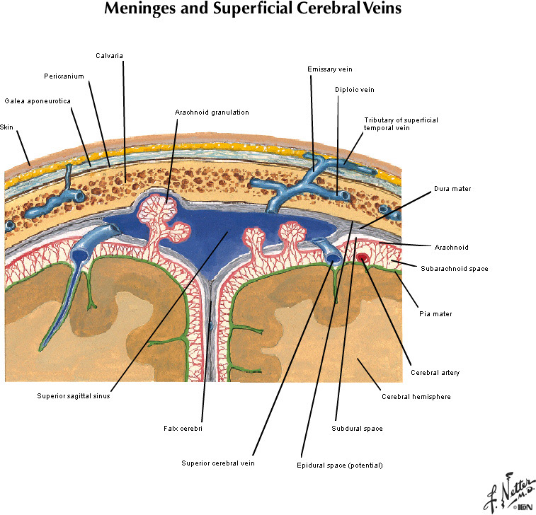 %_tempFileNameFigureI.57_l%