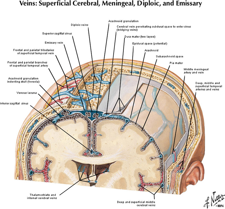 %_tempFileNameFigureI.58A_l%