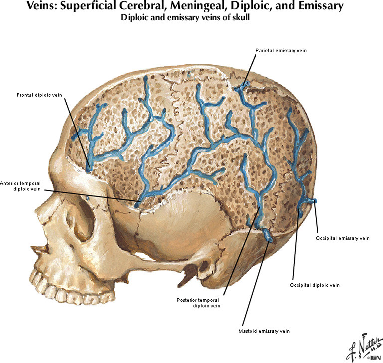 %_tempFileNameFigureI.58B_l%