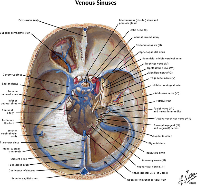 %_tempFileNameFigureI.59A_l%