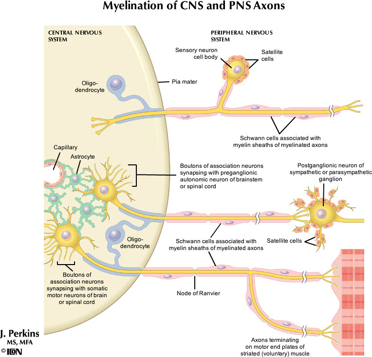 %_tempFileNameFigureI.5_l%
