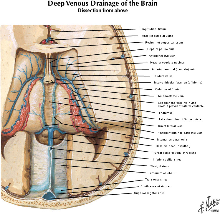 %_tempFileNameFigureI.60A_l%
