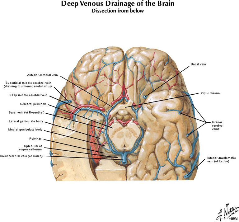 %_tempFileNameFigureI.60B_l%