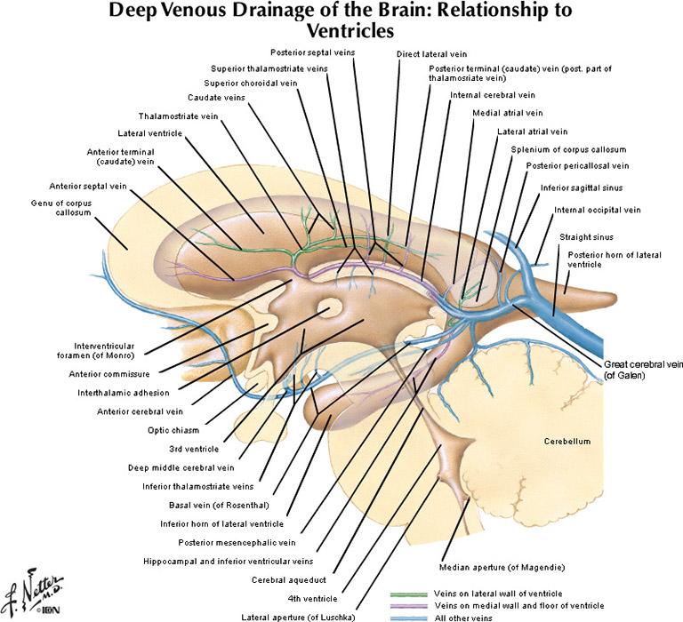 %_tempFileNameFigureI.61A_l%