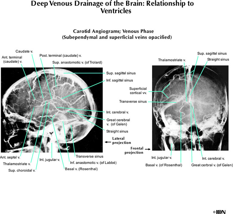 %_tempFileNameFigureI.61B_l%