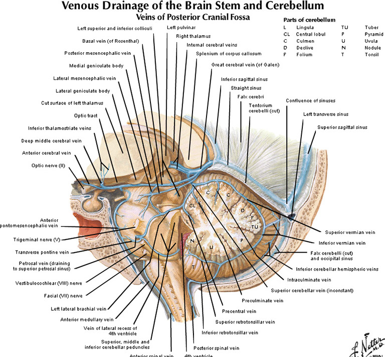 %_tempFileNameFigureI.62_l%
