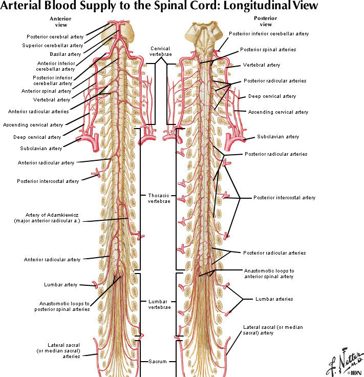 %_tempFileNameFigureI.63_l%