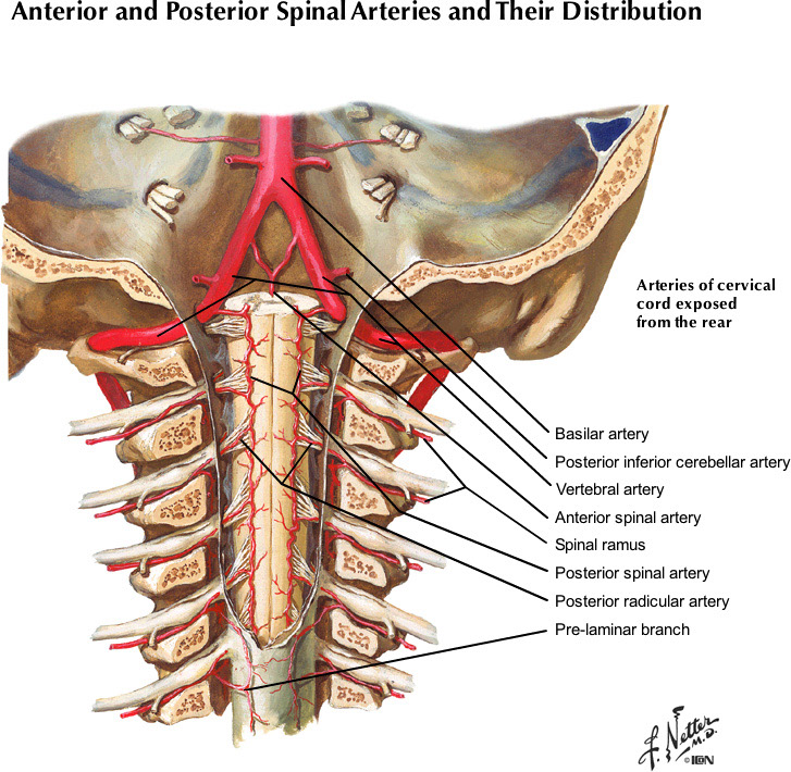 %_tempFileNameFigureI.64A_l%