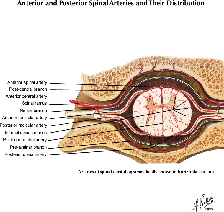 %_tempFileNameFigureI.64B_l%