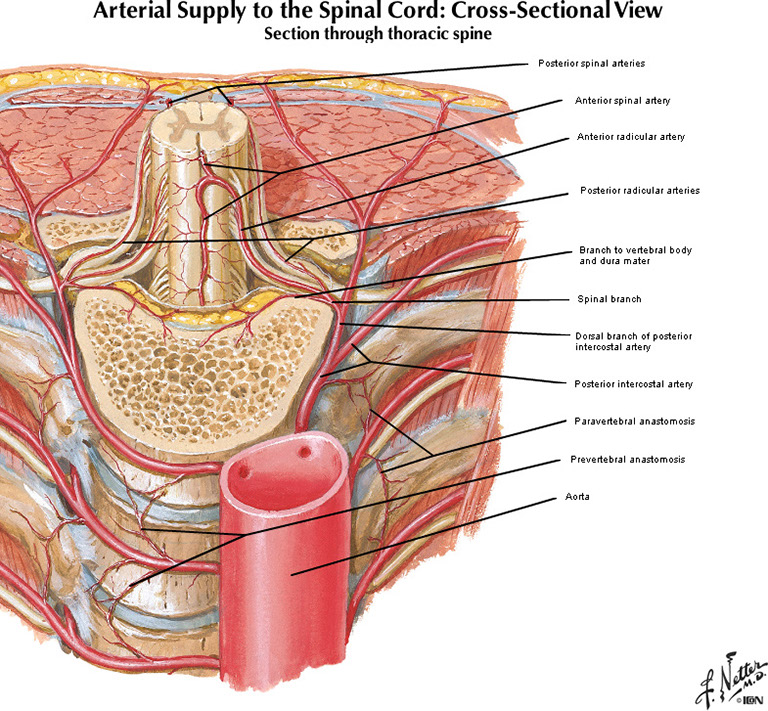 %_tempFileNameFigureI.65A_l%