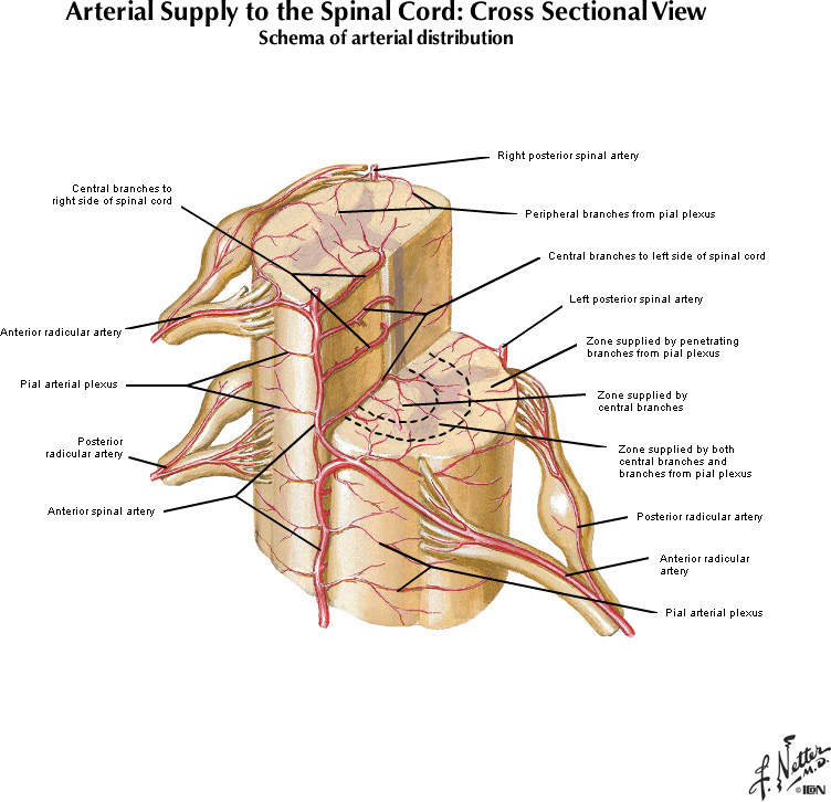 %_tempFileNameFigureI.65B_l%