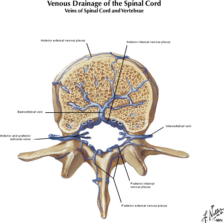 %_tempFileNameFigureI.66B_l%