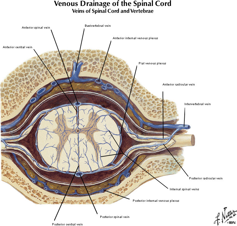 %_tempFileNameFigureI.66C_l%