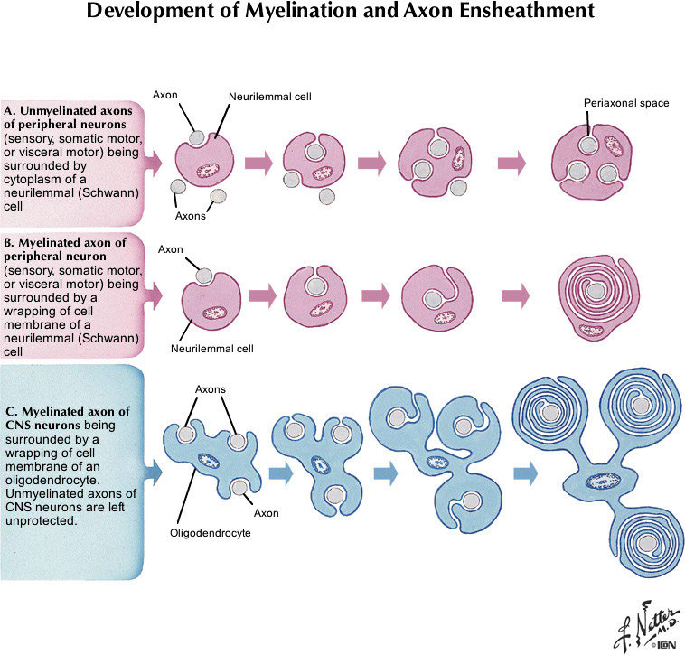 %_tempFileNameFigureI.6_l%