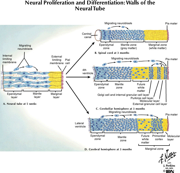 %_tempFileNameFigureI.70_l%