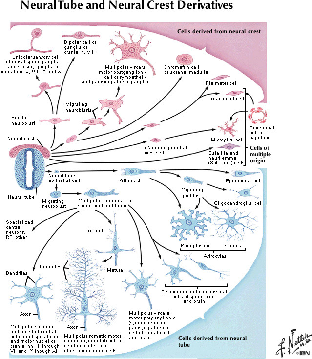 %_tempFileNameFigureI.71_l%