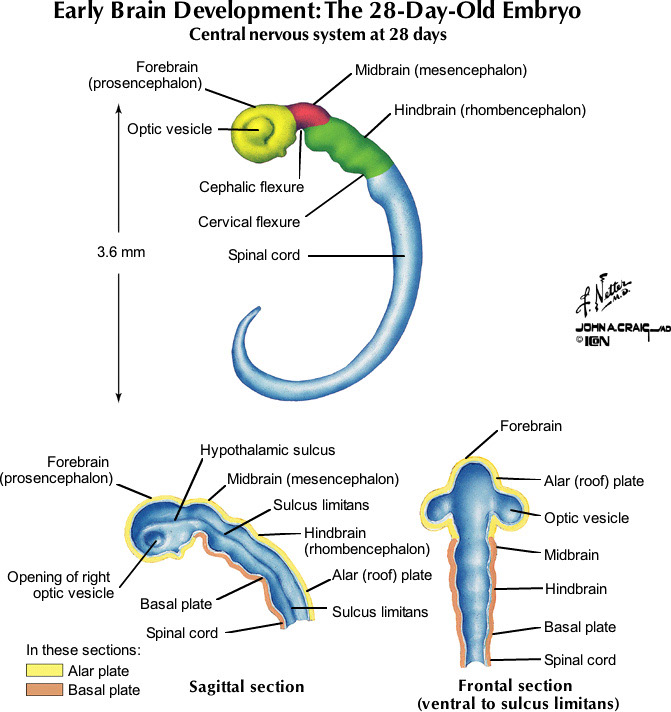 %_tempFileNameFigureI.72_l%