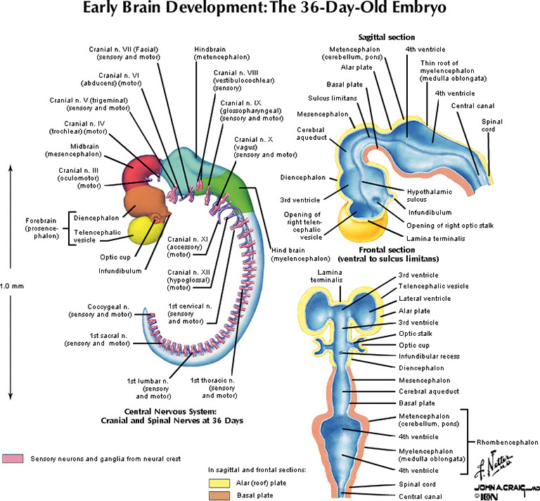 %_tempFileNameFigureI.73_l%