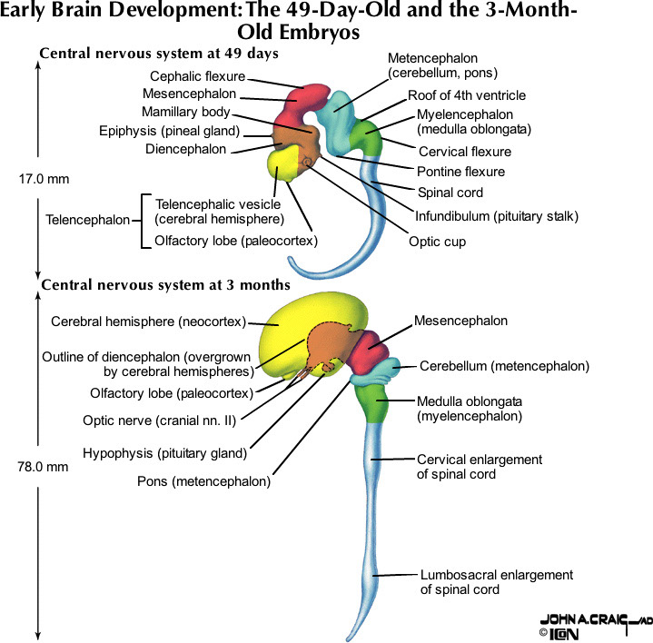 %_tempFileNameFigureI.74_l%