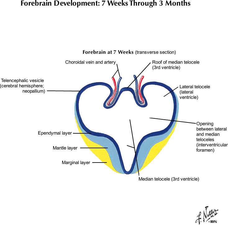 %_tempFileNameFigureI.75A_l%