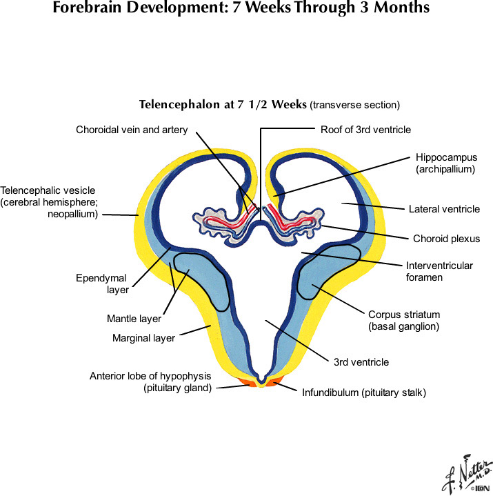 %_tempFileNameFigureI.75B_l%