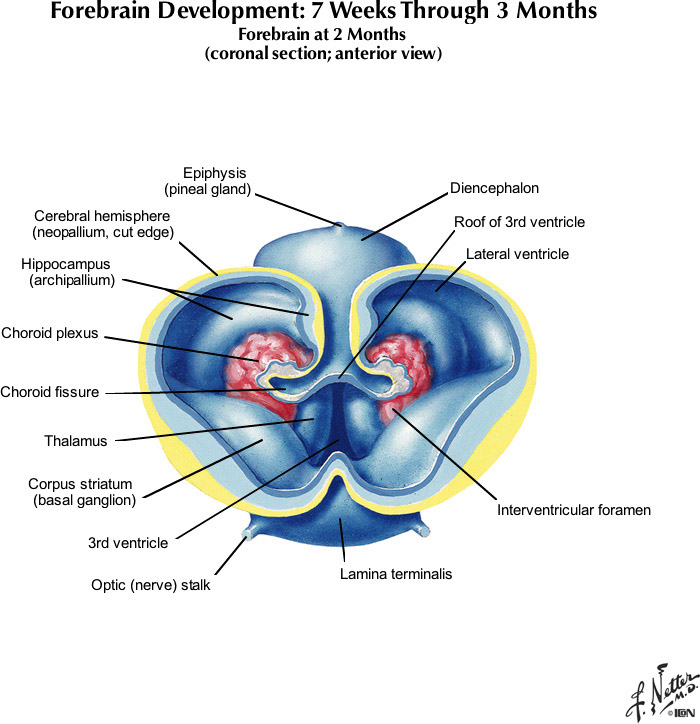 %_tempFileNameFigureI.75C_l%