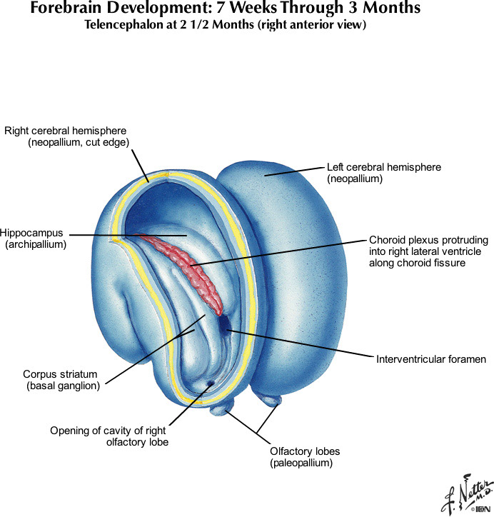 %_tempFileNameFigureI.75D_l%