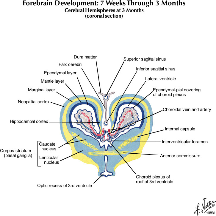 %_tempFileNameFigureI.75F_l%