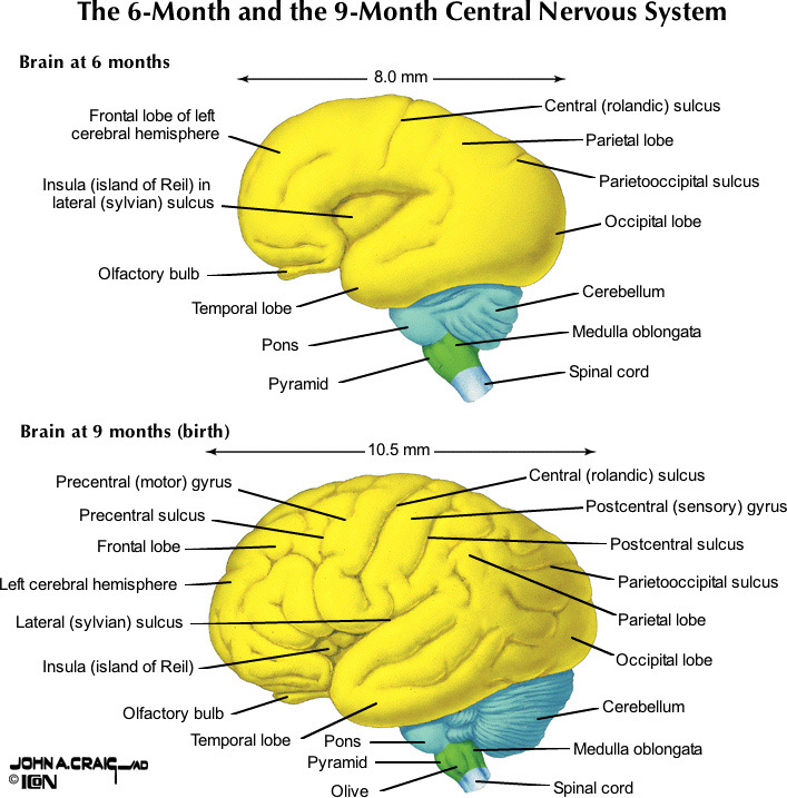 %_tempFileNameFigureI.76_l%