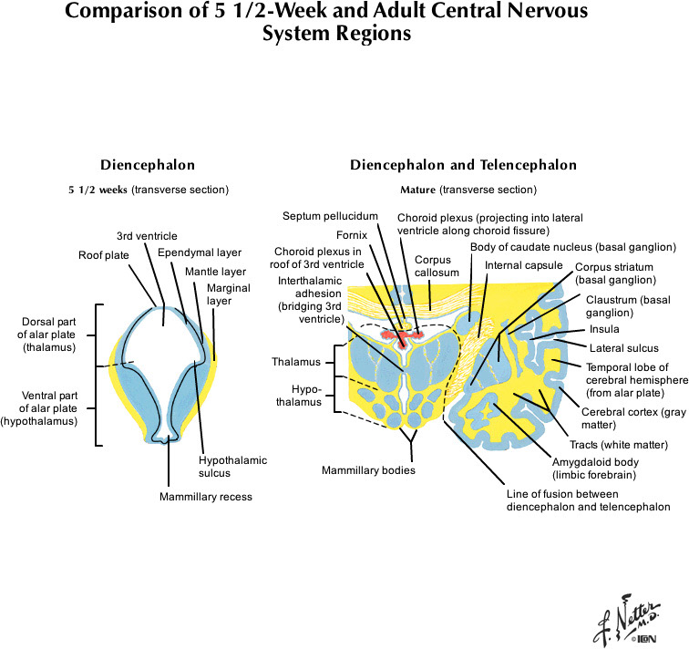 %_tempFileNameFigureI.78D_l%