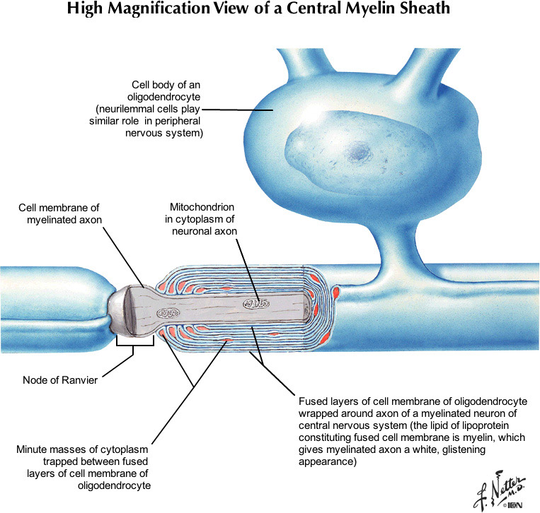 %_tempFileNameFigureI.7_l%
