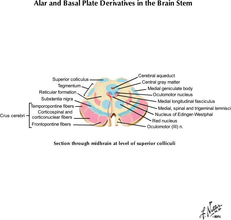 %_tempFileNameFigureI.80A_l%