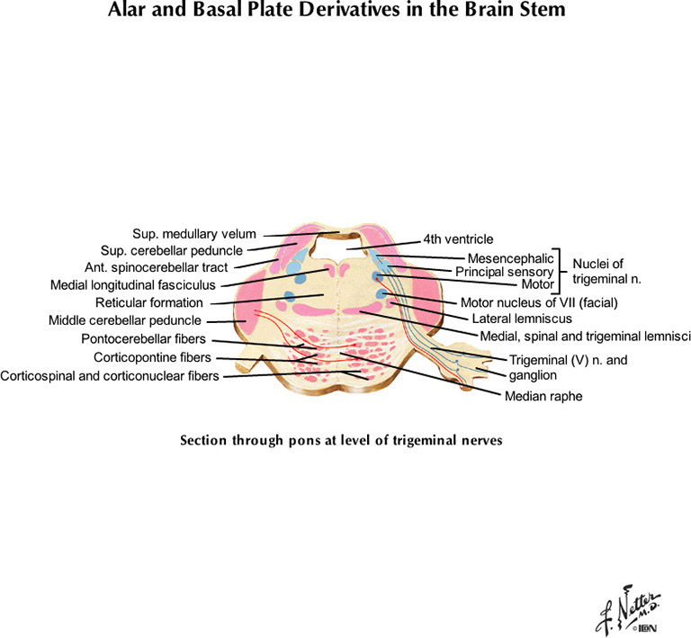 %_tempFileNameFigureI.80B_l%