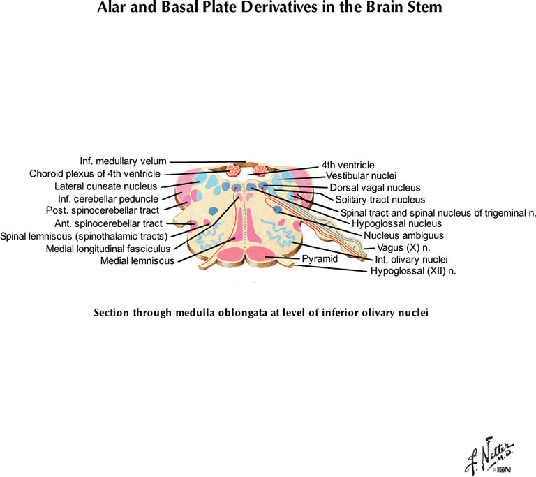 %_tempFileNameFigureI.80C_l%
