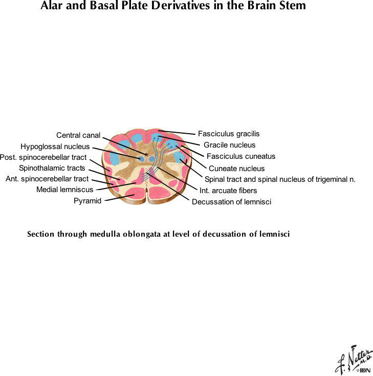 %_tempFileNameFigureI.80D_l%