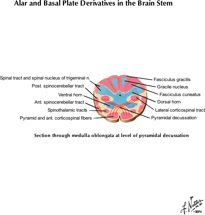 %_tempFileNameFigureI.80E_l%