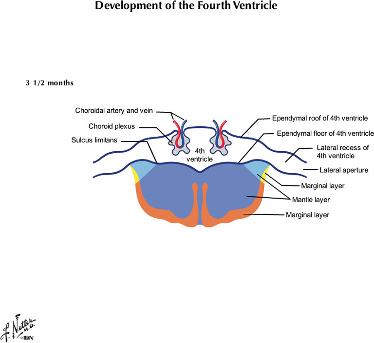 %_tempFileNameFigureI.81B_l%