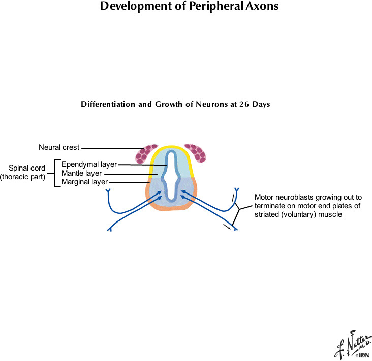 %_tempFileNameFigureI.82A_l%