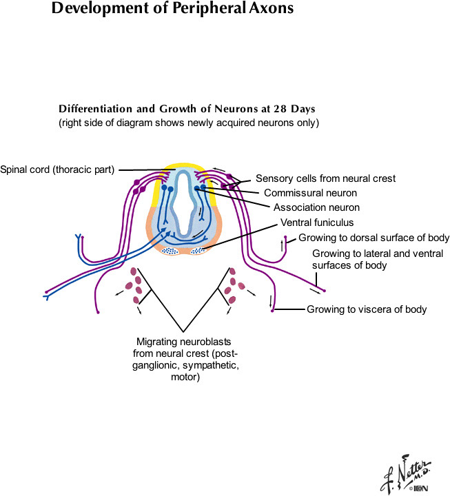 %_tempFileNameFigureI.82B_l%