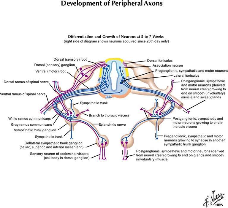 %_tempFileNameFigureI.82C_l%