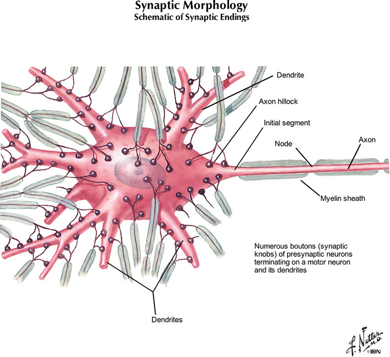 %_tempFileNameFigureI.8A_l%