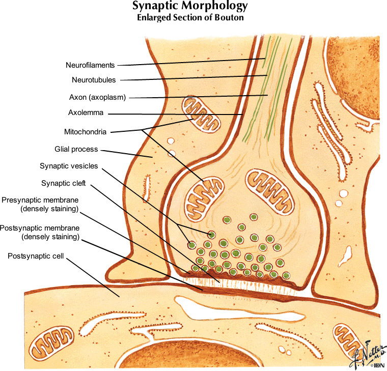 %_tempFileNameFigureI.8B_l%