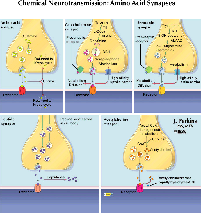 %_tempFileNameFigureI.9_l%