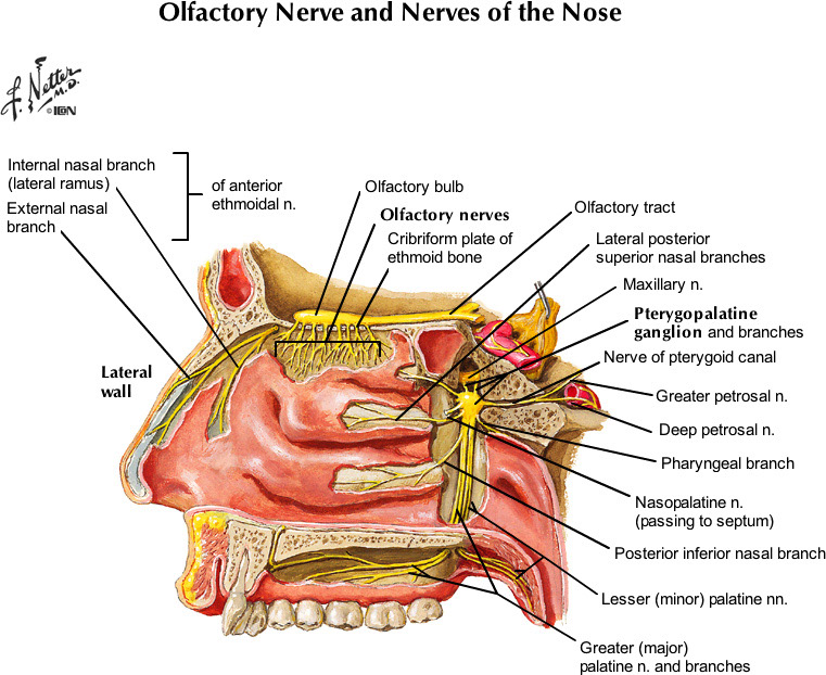 %_tempFileNameFigureII.100A_l%