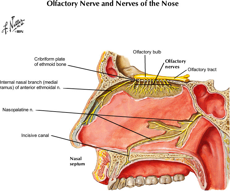%_tempFileNameFigureII.100B_l%