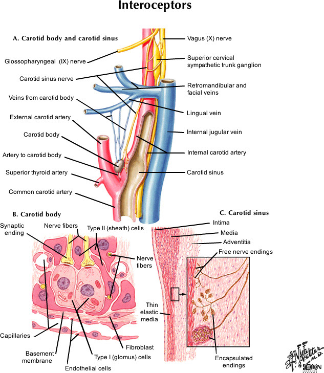 %_tempFileNameFigureII.10_l%