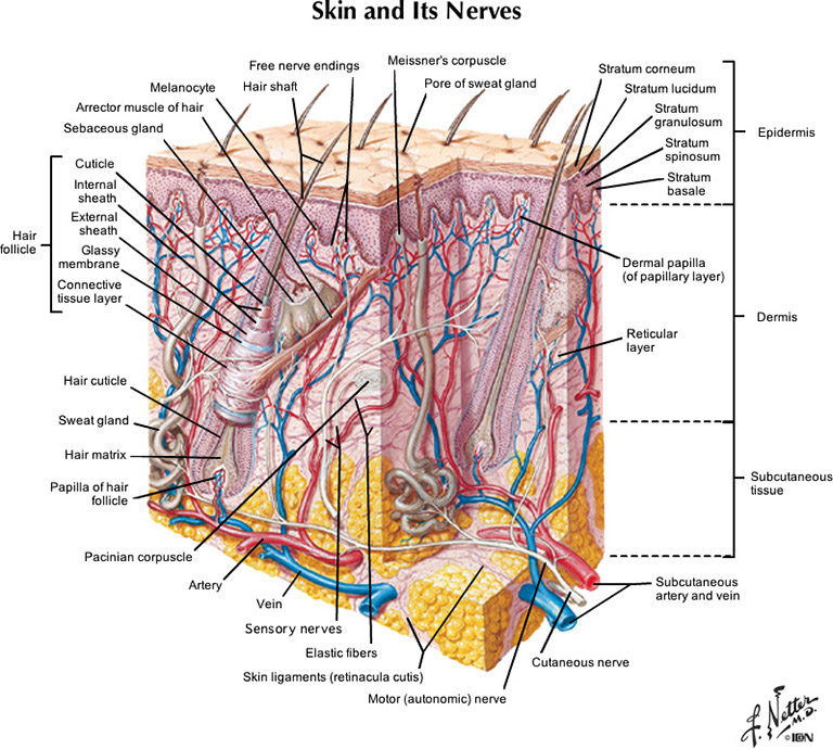 %_tempFileNameFigureII.11_l%