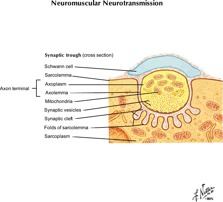 %_tempFileNameFigureII.12A_l%